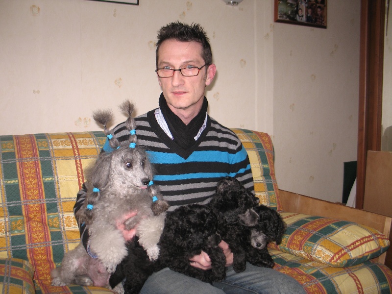 Birkin et ses chiots